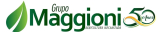 Grupo Maggion